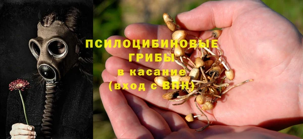 ешки Карпинск